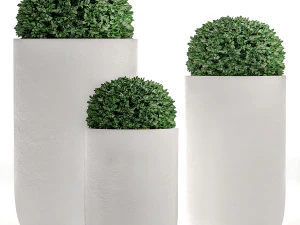 공원과 정원용 화분의 장식용 관목 499 3D 모델