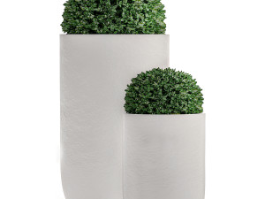 ornamental bushes in flowerpots for parks and garden 499 3D Model