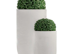 ornamental bushes in flowerpots for parks and garden 499 3D Model
