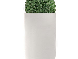 ornamental bushes in flowerpots for parks and garden 499 3D Model