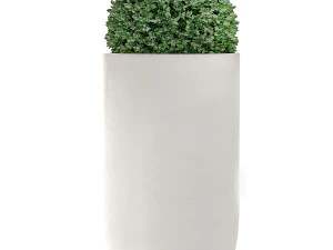 ornamental bushes in flowerpots for parks and garden 499 3D Model