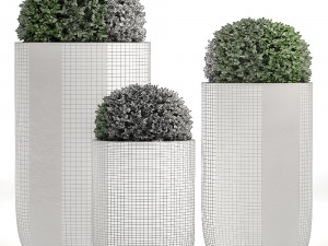 ornamental bushes in flowerpots for parks and garden 499 3D Model