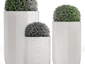 ornamental bushes in flowerpots for parks and garden 499 3D Model