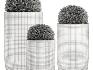ornamental bushes in flowerpots for parks and garden 499 3D Model