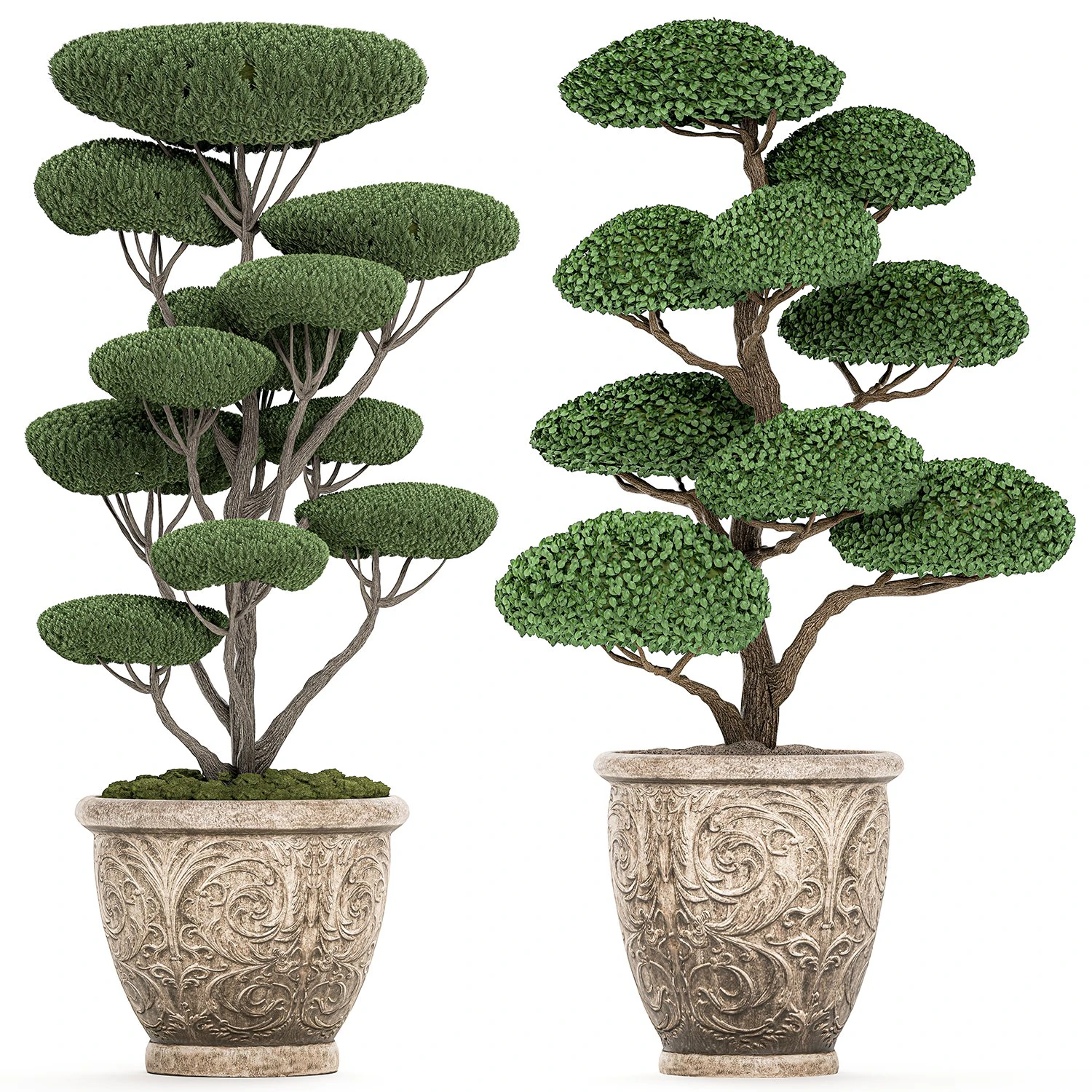parklar ve bah&ccedil;eler i&ccedil;in klasik saksılarda s&uuml;s budama ağacı 500 3D Model .c4d .max .obj .3ds .fbx .stl .blend 