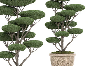 parklar ve bah&ccedil;eler i&ccedil;in klasik saksılarda s&uuml;s budama ağacı 500 3D Model