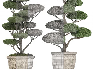 parklar ve bah&ccedil;eler i&ccedil;in klasik saksılarda s&uuml;s budama ağacı 500 3D Model