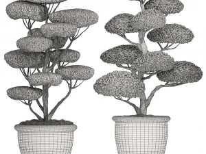 parklar ve bah&ccedil;eler i&ccedil;in klasik saksılarda s&uuml;s budama ağacı 500 3D Model