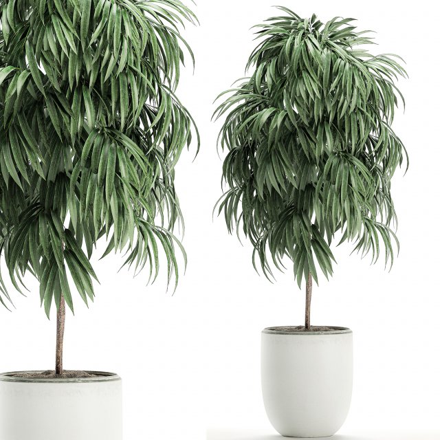 decorative tree in a white flowerpot for decor and interior design 501 3D Model .c4d .max .obj .3ds .fbx .stl .blend 
