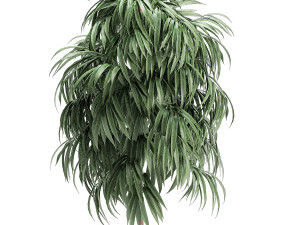 decorative tree in a white flowerpot for decor and interior design 501 3D Model