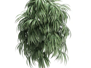 decorative tree in a white flowerpot for decor and interior design 501 3D Model