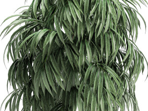 decorative tree in a white flowerpot for decor and interior design 501 3D Model