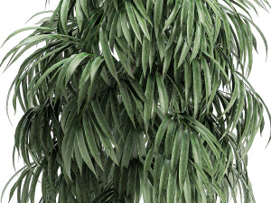 decorative tree in a white flowerpot for decor and interior design 501 3D Model