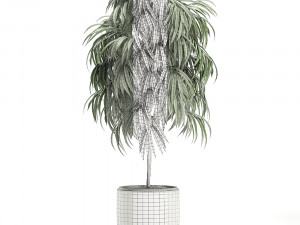 decorative tree in a white flowerpot for decor and interior design 501 3D Model