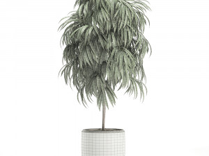 decorative tree in a white flowerpot for decor and interior design 501 3D Model