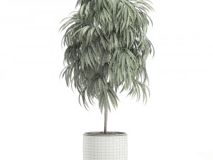 decorative tree in a white flowerpot for decor and interior design 501 3D Model