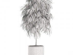 decorative tree in a white flowerpot for decor and interior design 501 3D Model