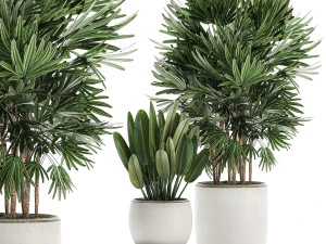 decoratieve planten in een witte bloempot voor decor en interieur 502 3D Model