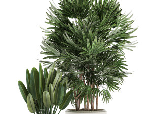 decorative plants in a white flowerpot for decor and interior design 502 Model 3D