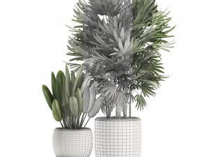 decorative plants in a white flowerpot for decor and interior design 502 Model 3D