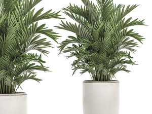 decorative plants in a white flowerpot for decor and interior design 503 3D Model