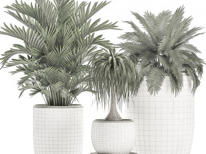 decorative plants in a white flowerpot for decor and interior design 503 3D Model