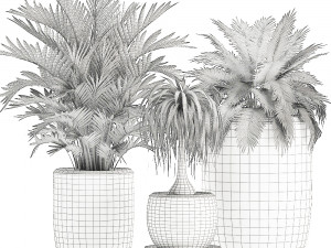 decorative plants in a white flowerpot for decor and interior design 503 3D Model