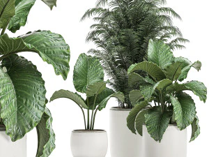 plantas decorativas em um vaso branco para decora&ccedil;&atilde;o e design de interiores 504 Modelo 3D