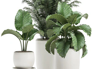 decorative plants in a white flowerpot for decor and interior design 504 3D Model