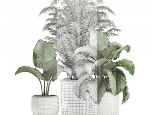 decorative plants in a white flowerpot for decor and interior design 504 Modelo 3D