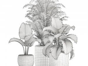 decorative plants in a white flowerpot for decor and interior design 504 Modelo 3D