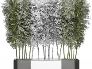 &aacute;rvore de bambu ornamental em vasos pretos para parques e jardins 507 Modelo 3D