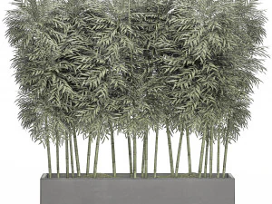 &aacute;rvore de bambu ornamental em vasos pretos para parques e jardins 507 Modelo 3D