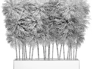 &aacute;rvore de bambu ornamental em vasos pretos para parques e jardins 507 Modelo 3D