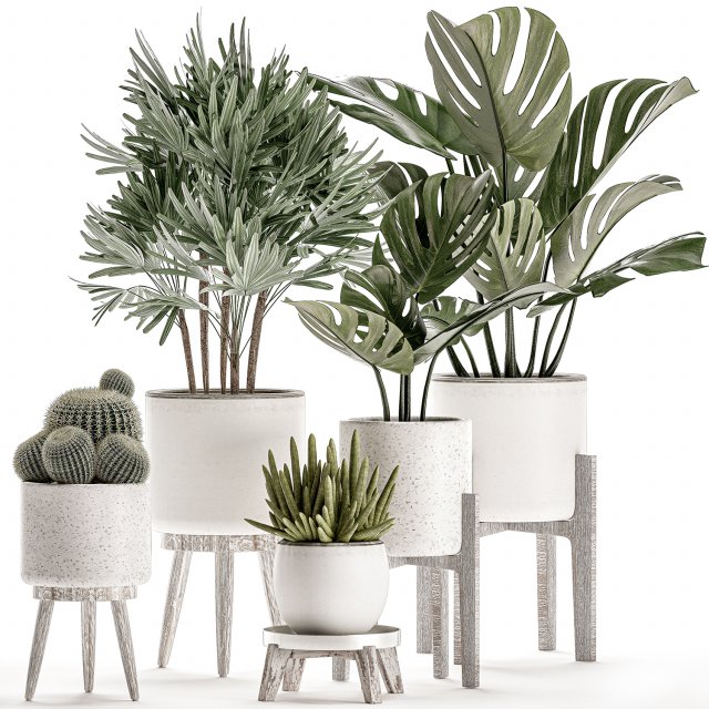 decorative plants in a white flowerpot for decor and interior design 508 Model 3D .c4d .max .obj .3ds .fbx .stl .blend