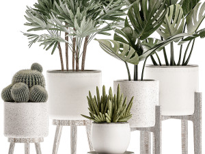 decorative plants in a white flowerpot for decor and interior design 508 Model 3D