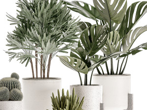 decorative plants in a white flowerpot for decor and interior design 508 Model 3D