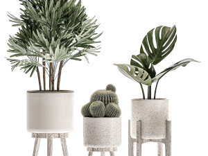 decorative plants in a white flowerpot for decor and interior design 508 Model 3D