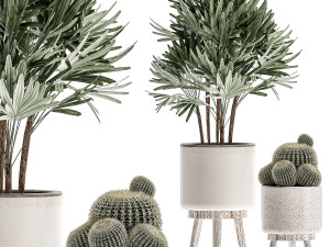 decorative plants in a white flowerpot for decor and interior design 508 Model 3D
