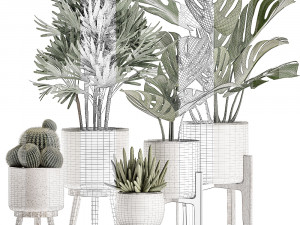 decorative plants in a white flowerpot for decor and interior design 508 Model 3D
