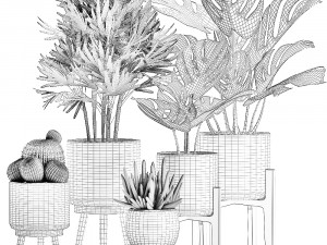 decorative plants in a white flowerpot for decor and interior design 508 Model 3D
