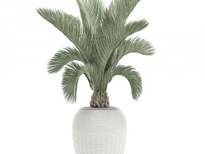 decorative palm in a white flowerpot for decor and interior design 513 3D Model