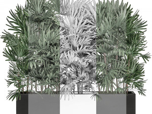 decorative plants in a black flowerpot 515 Modelo 3D