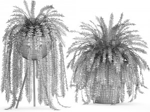 decorative fern in a white flowerpot 517 3D 模型
