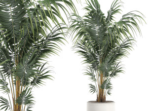decorative palm in a white flowerpot 518 3D Model