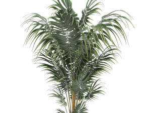 decorative palm in a white flowerpot 518 3D 모델