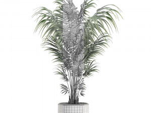 decorative palm in a white flowerpot 518 3D 모델