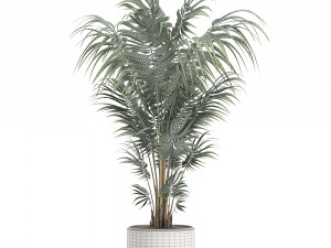 decorative palm in a white flowerpot 518 3D 모델