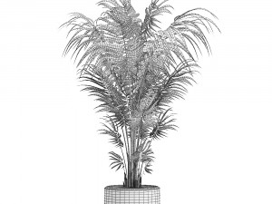 decorative palm in a white flowerpot 518 3D 모델