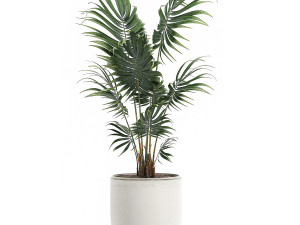 decorative palm in a white flowerpot 519 3D 模型